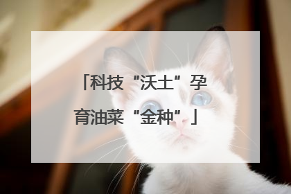 科技“沃土”孕育油菜“金种”